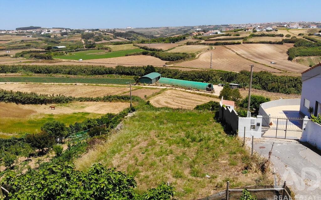 Land in Lourinha - view 1