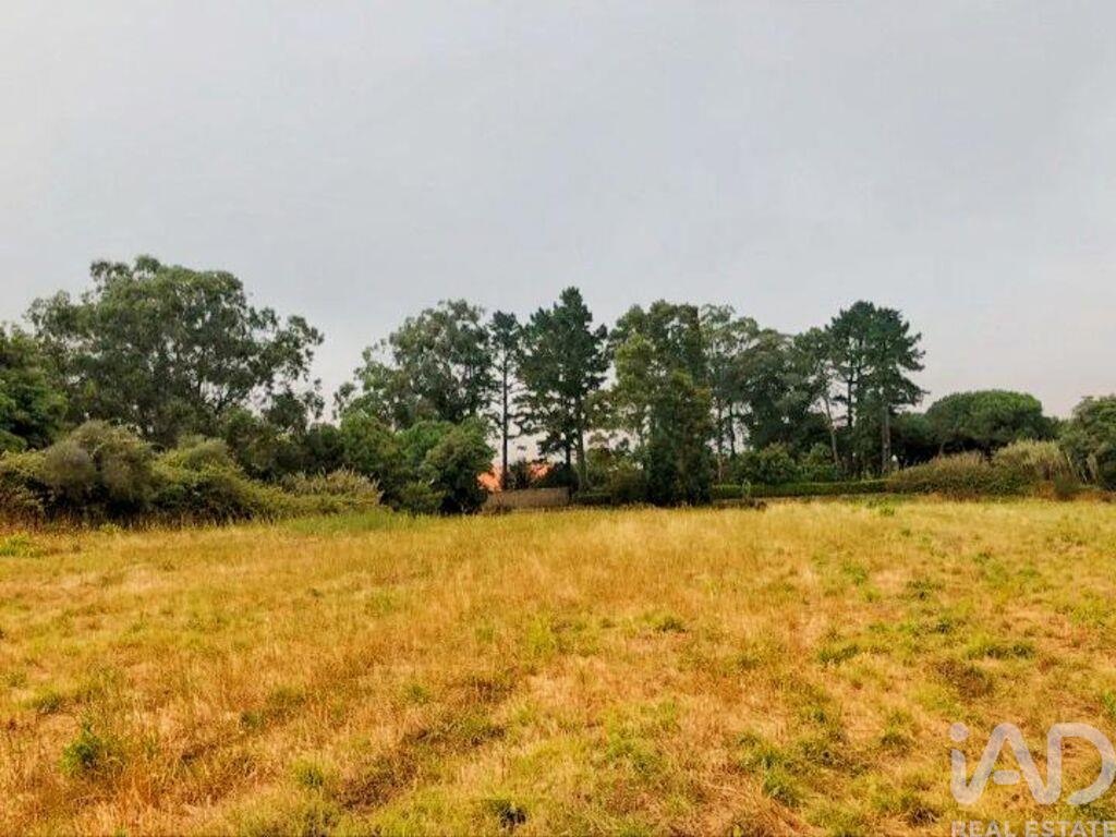 Land in Colares - view 1