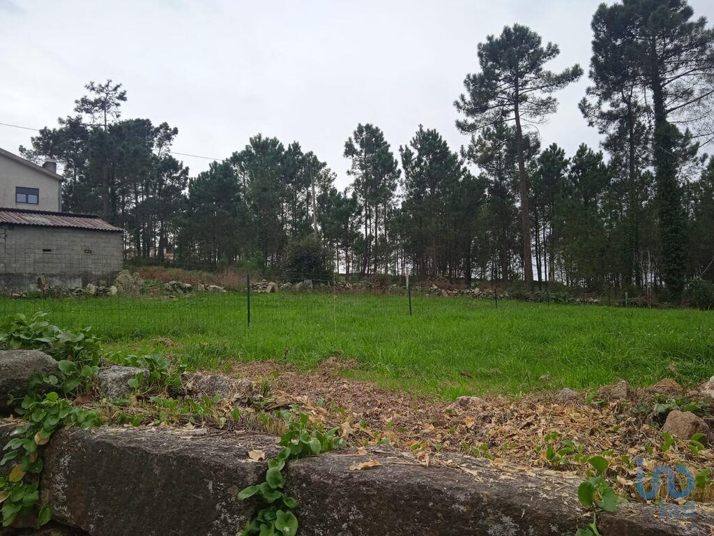 Land in Milhazes - view 1