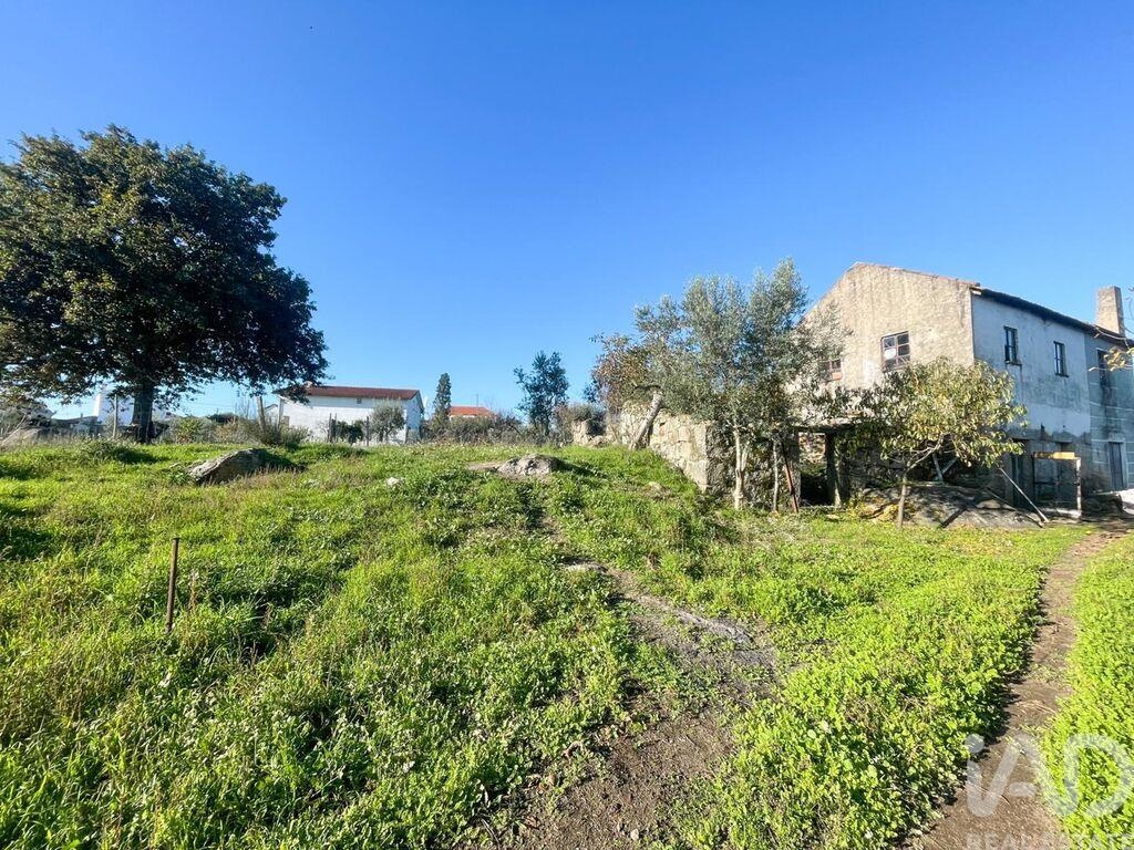 Land in Povolide - view 1