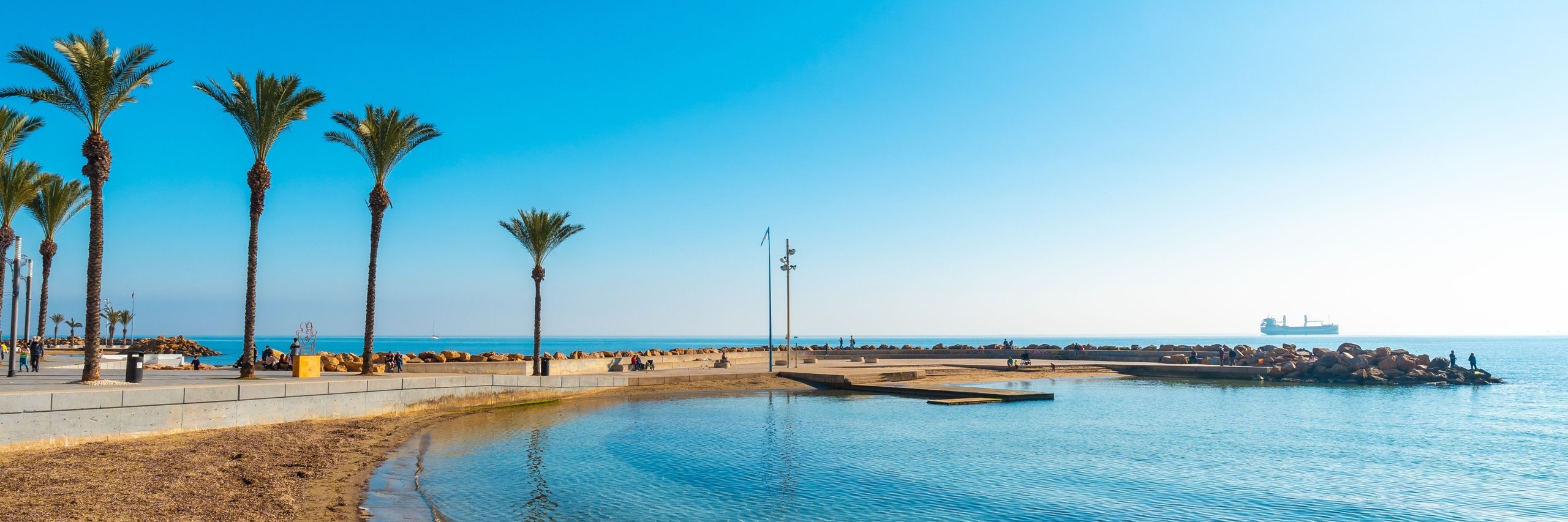 Beach with palm trees in the coastal town of Torrevieja next to the Playa del Cura, Alicante, Valencian Community.