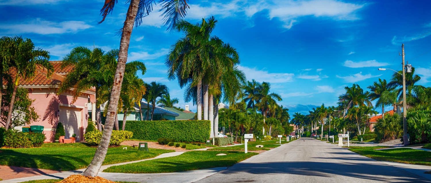 A sun-soaked suburban road in Orlando, Florida