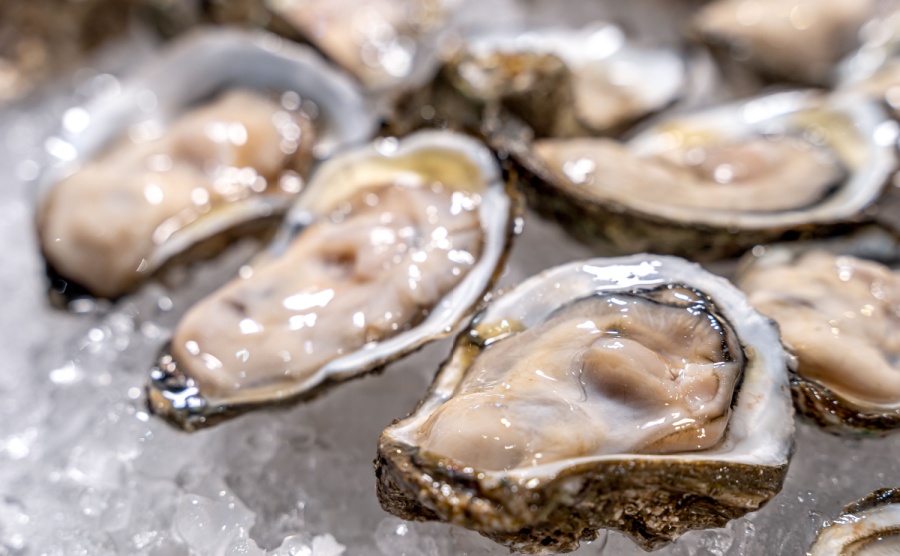 France Christmas oysters