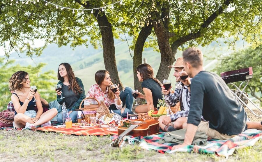 Friends enjoying a picnic near a vineyard