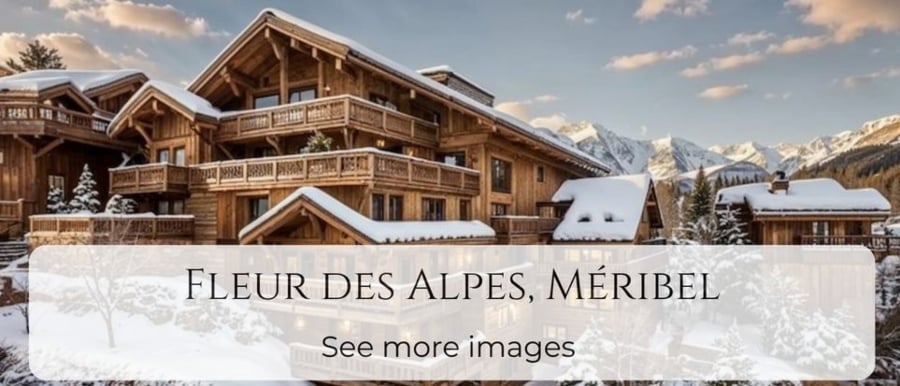 Fleur des Alpes banner