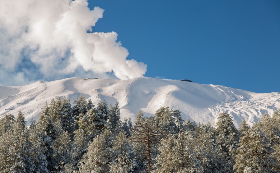 Trees covered with snow on Mount Etna - Volcano Etna in the winter season