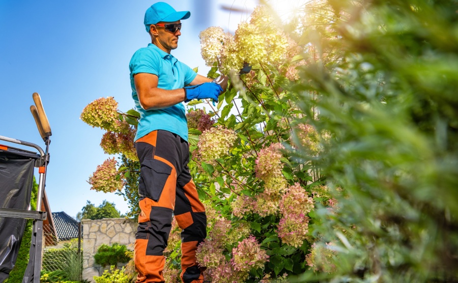 A maintenance worker clears undergrowth in a French garden