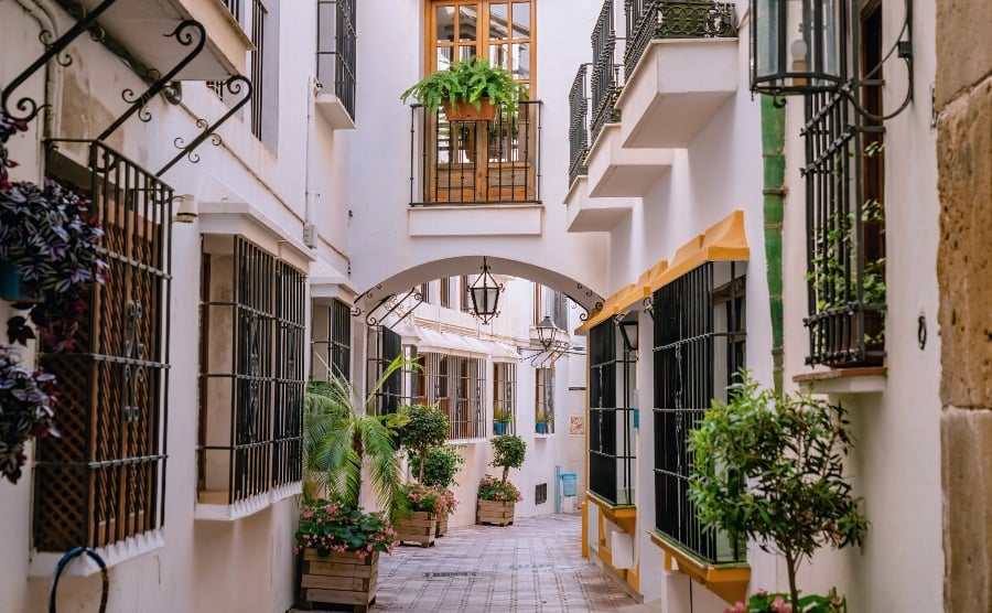 White houses, plants and flowers in Marbella