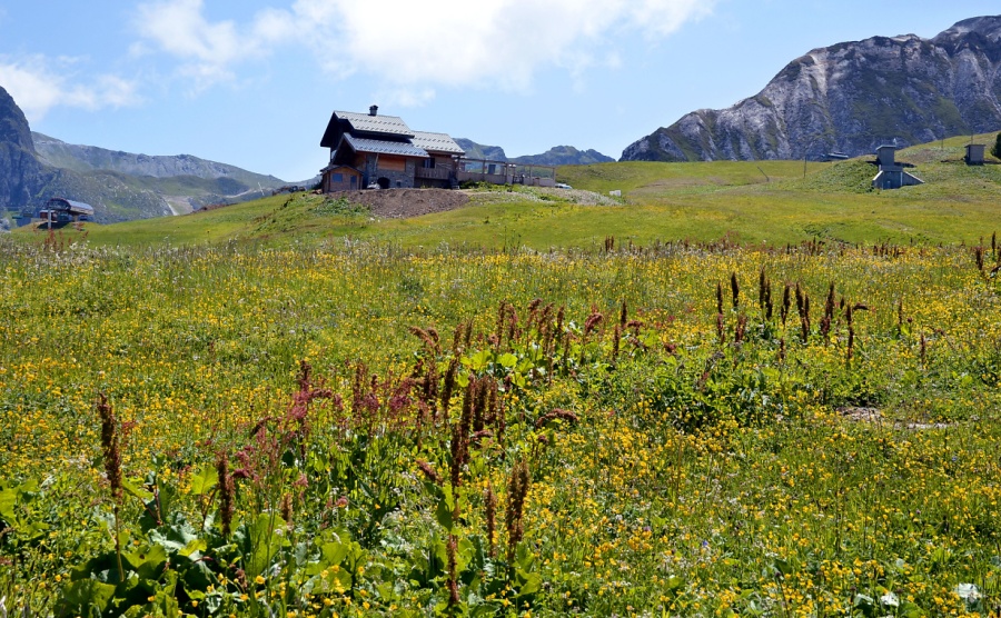 A summer's day in La Plagne