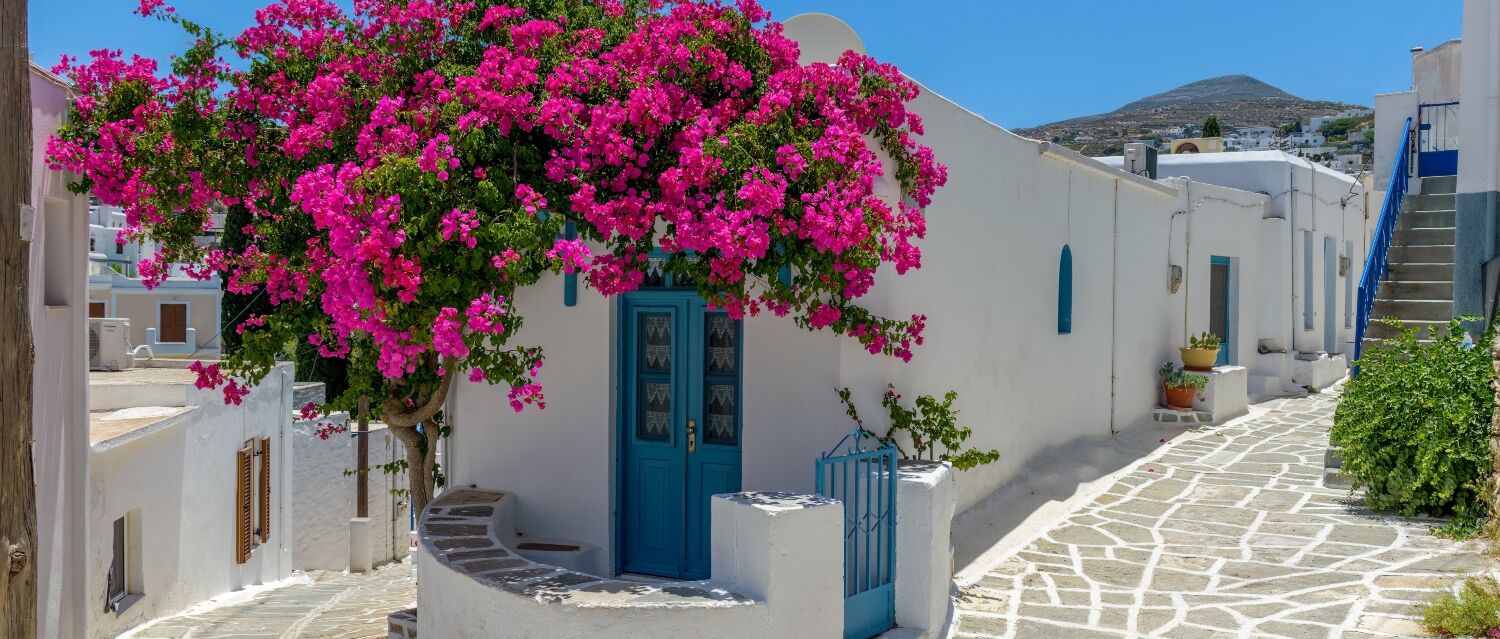 White house with pink flowers